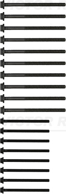 VICTOR REINZ Bultsats, topplock 14-32204-01