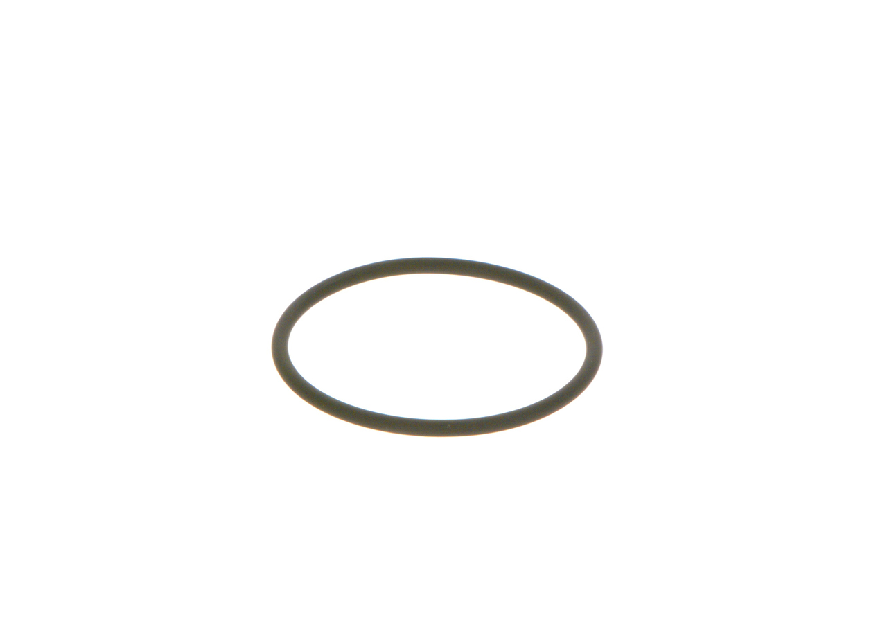 BOSCH Rõngastihend F 00N 202 130