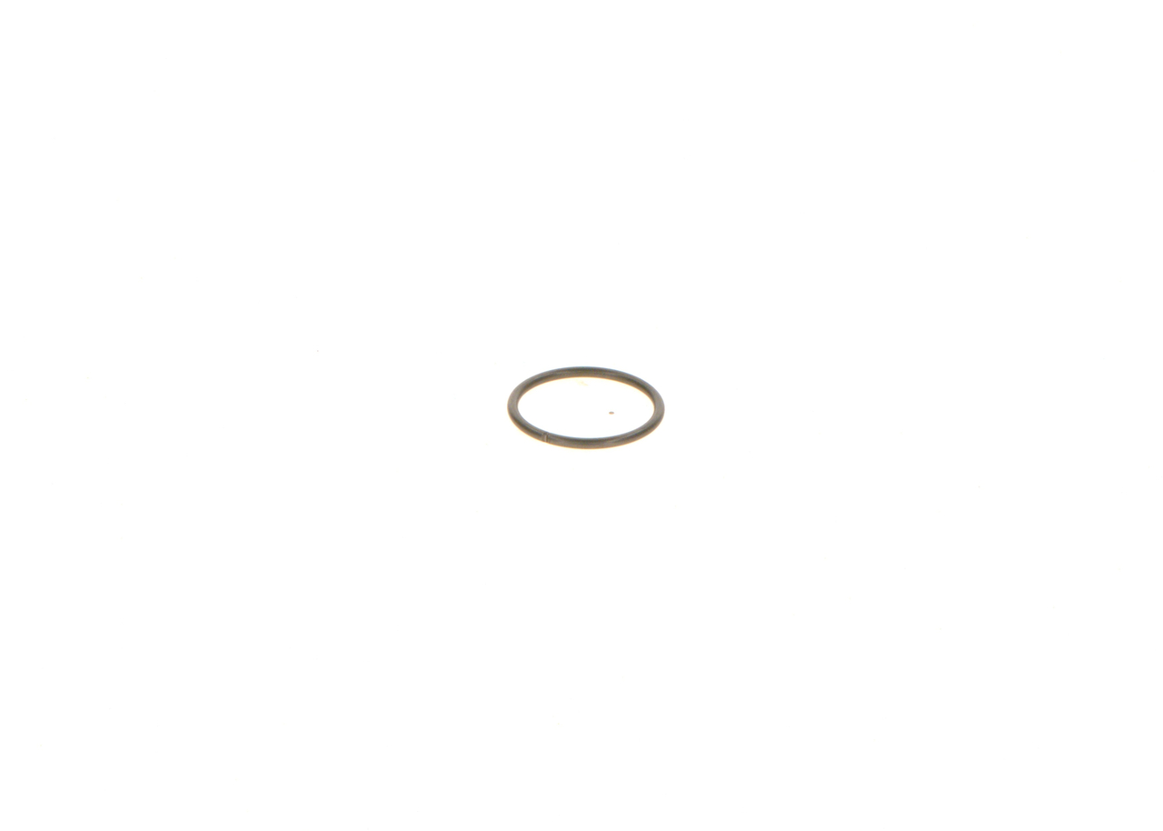 BOSCH Rõngastihend F 00R J00 342
