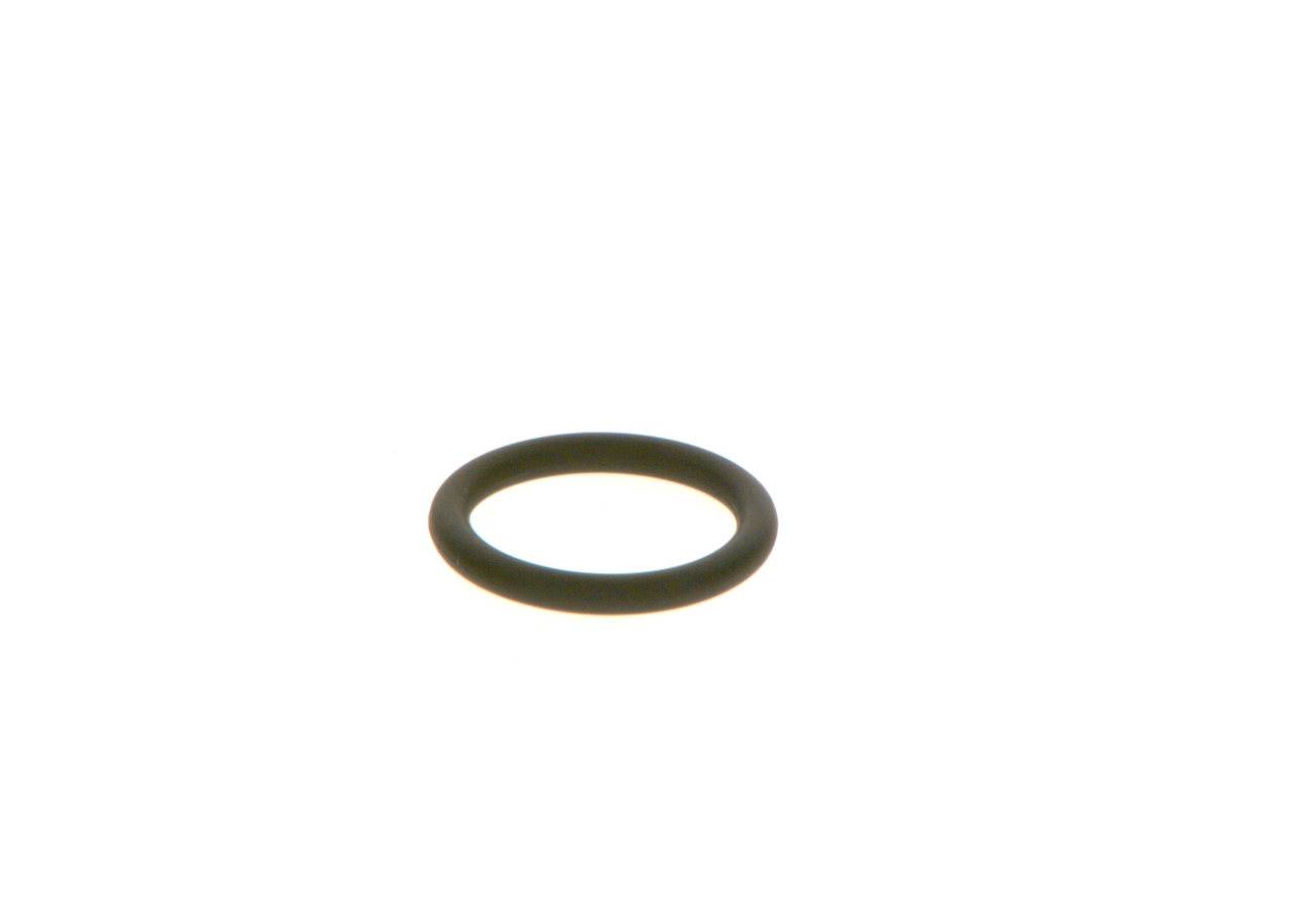 BOSCH Rõngastihend F 00R J01 605