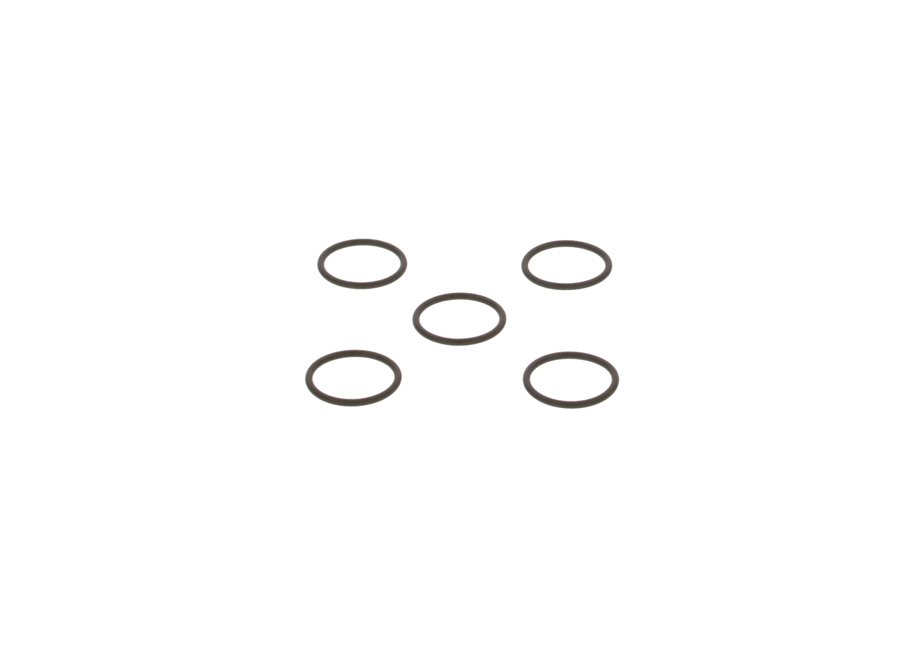 BOSCH Rõngastihend F 00R J01 878