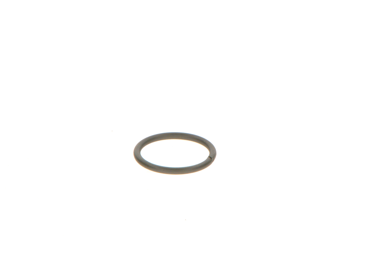 BOSCH Rõngastihend F 00V C23 002