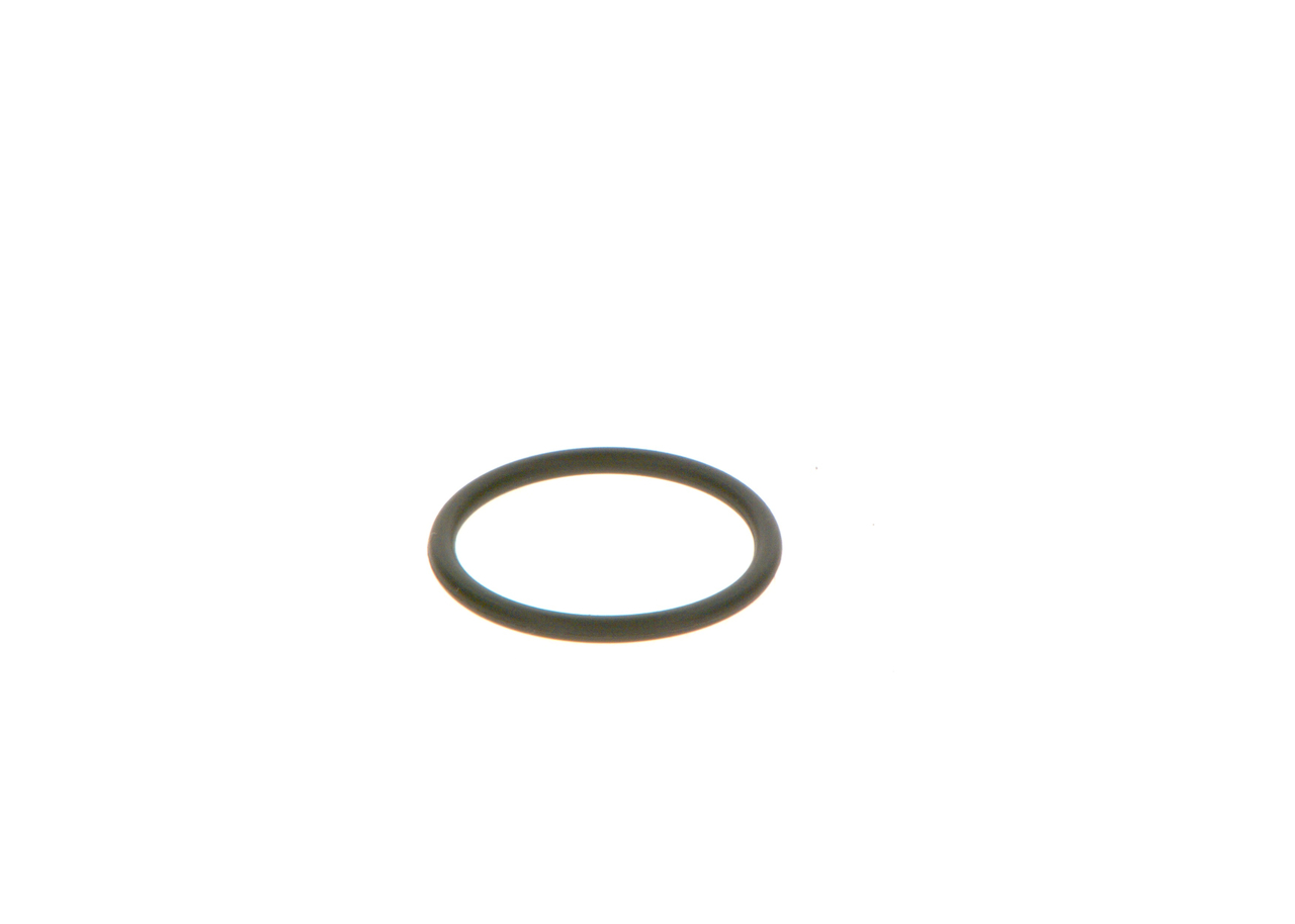 BOSCH Rõngastihend F 00V C38 042