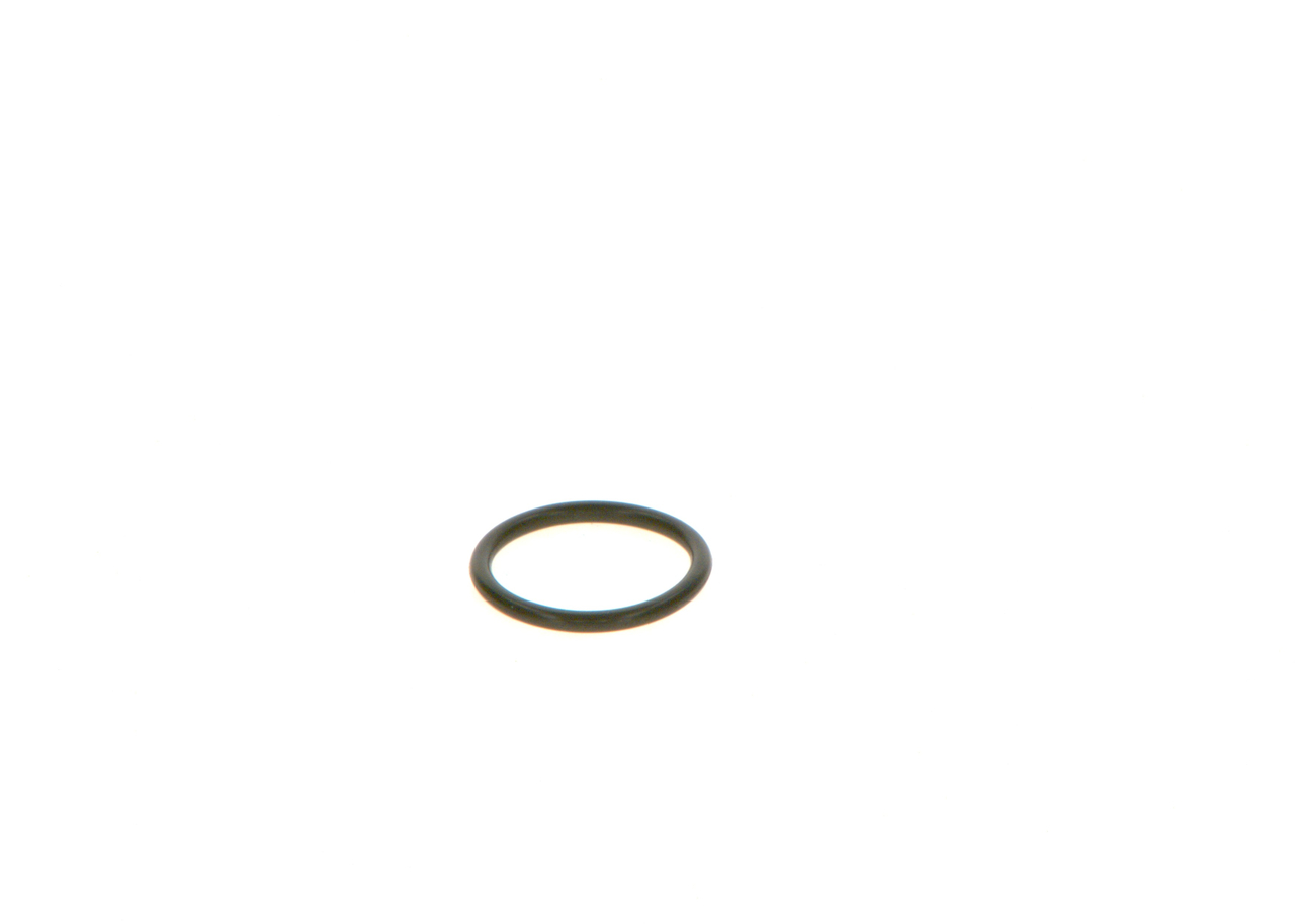 BOSCH Rõngastihend F 00V C38 048