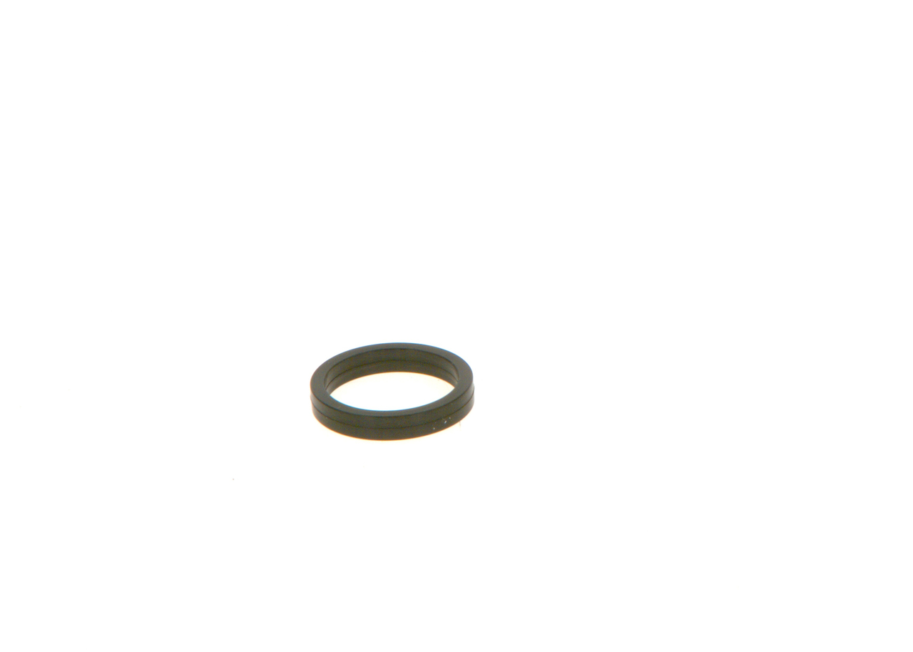 BOSCH Rõngastihend F 00V C38 100