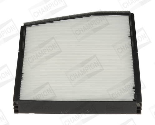 CHAMPION Filter,salongiõhk CCF0257