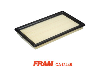 FRAM Õhufilter CA12445