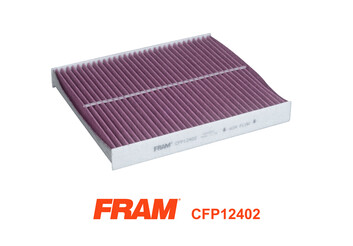 FRAM filtras, salono oras CFP12402