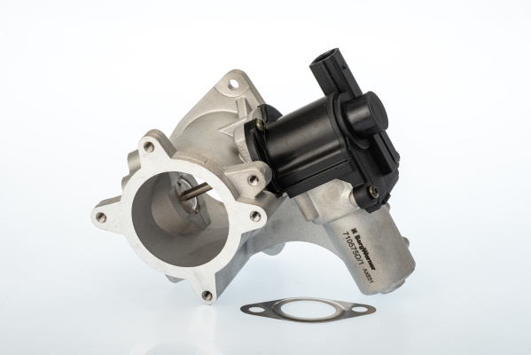 BorgWarner (Wahler) ERG vožtuvas 710575D