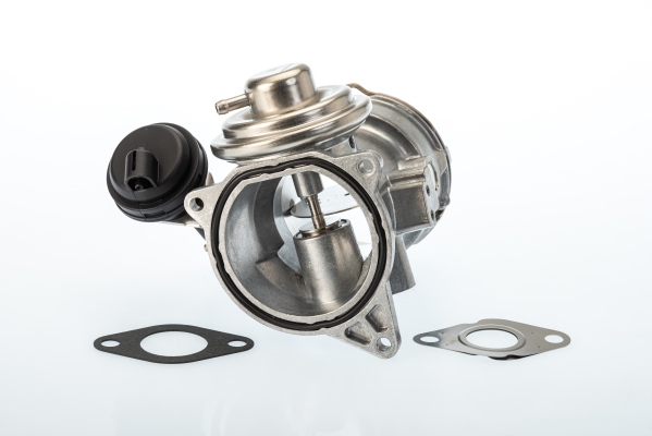 BorgWarner (Wahler) ERG vožtuvas 7649D