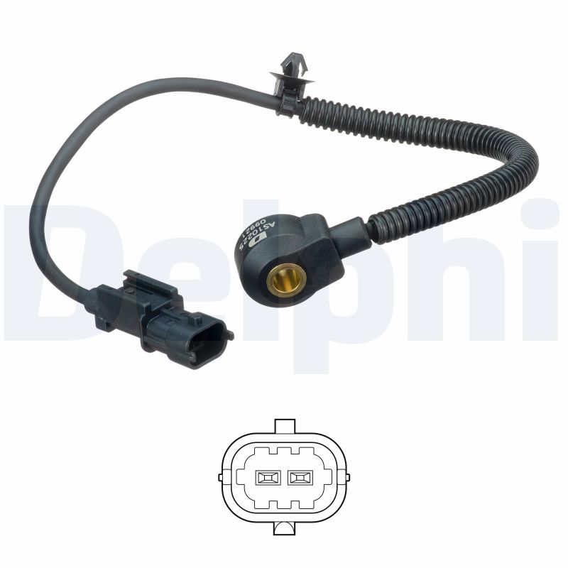 DELPHI Detonatsiooniandur AS10225