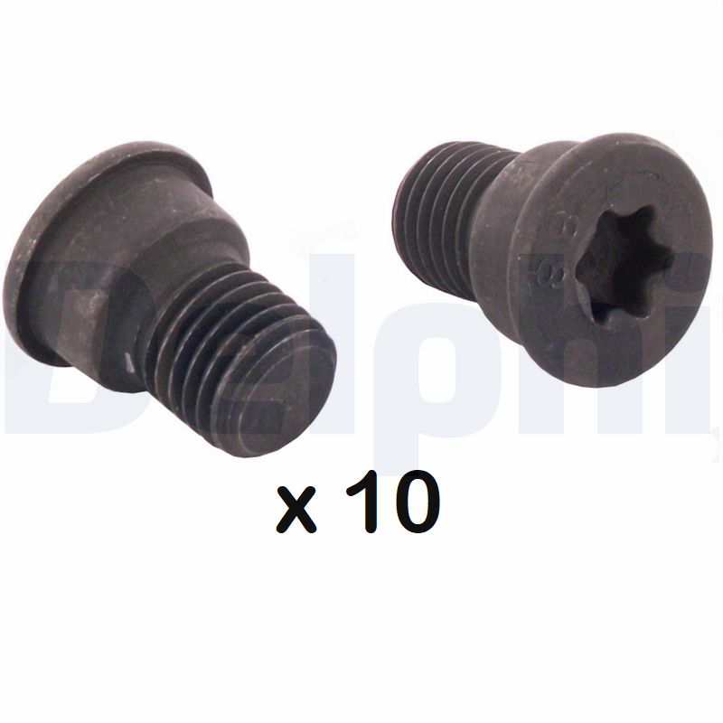 DELPHI Kruvi,piduriketas BGK007