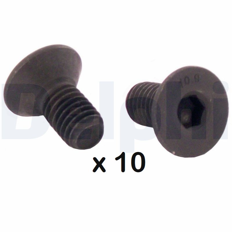 DELPHI Kruvi,piduriketas BGK008