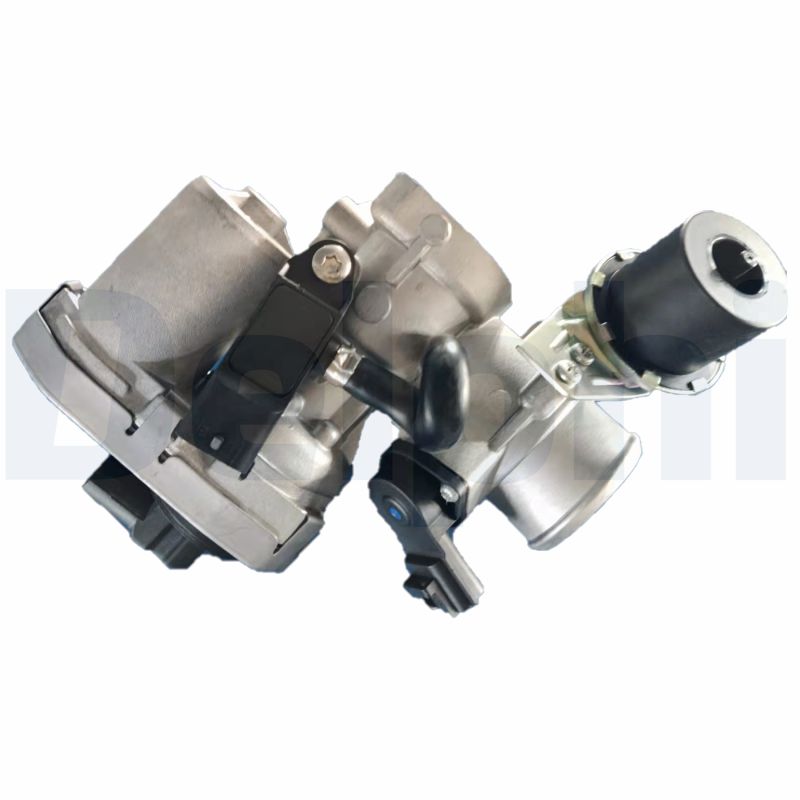 DELPHI EGR-klapp EG10453-12B1