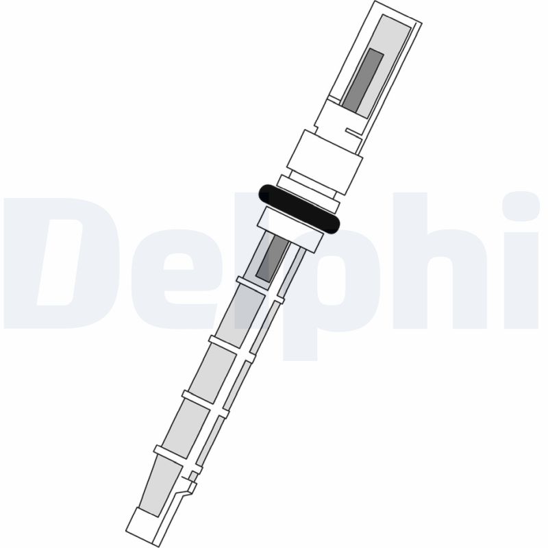 DELPHI Sissepritsedüüs,ekspansioonklapp TSP0695190