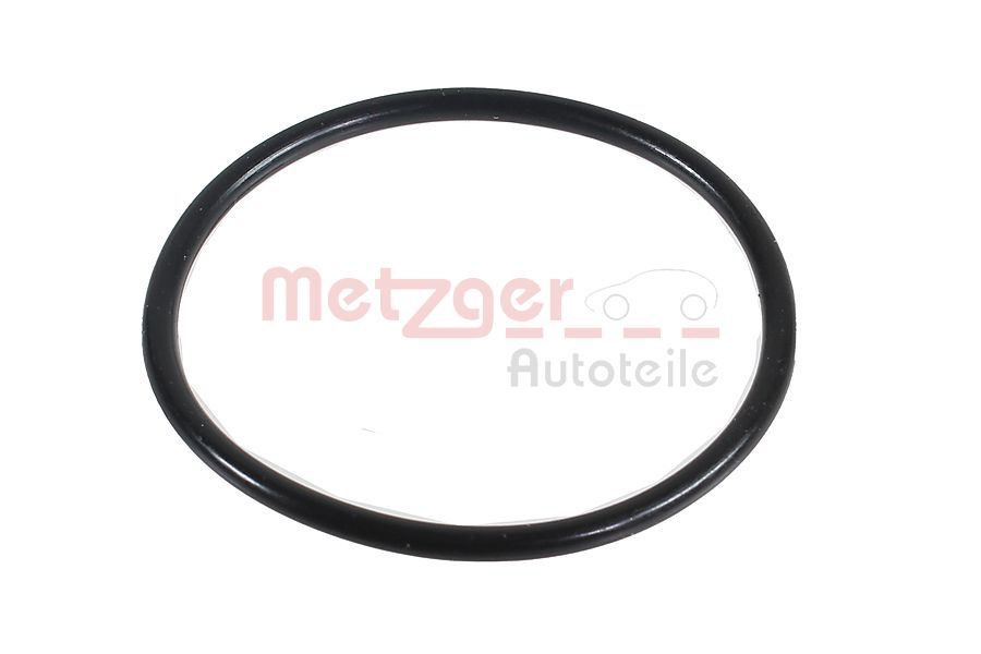 METZGER tarpiklis, EGR vožtuvas 2430030