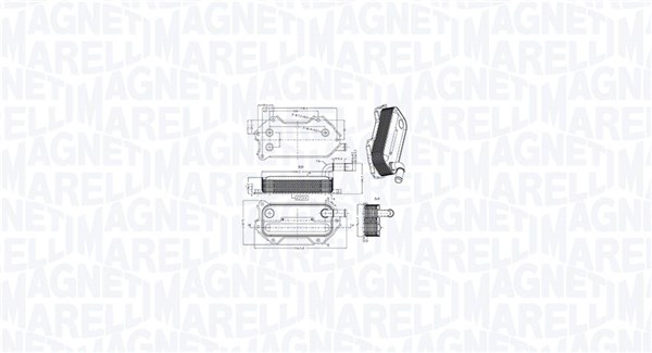 MAGNETI MARELLI Moottoriöljyn jäähdytin 350300003000