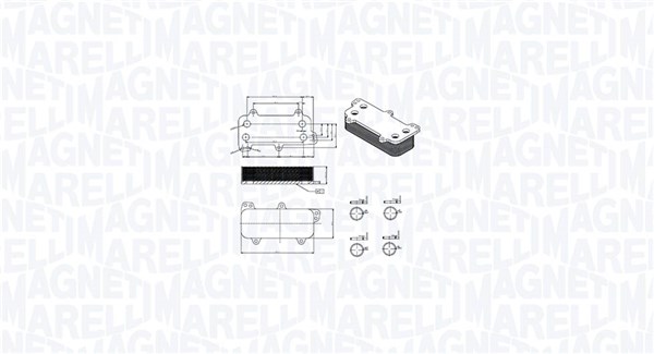 MAGNETI MARELLI alyvos aušintuvas, variklio alyva 350300003700