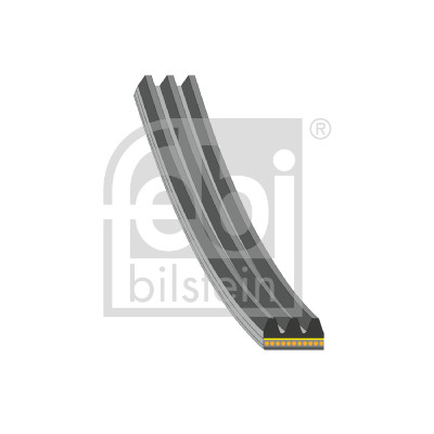 FEBI BILSTEIN Pasek klinowy wielorowkowy 183220