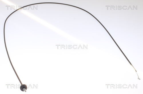 TRISCAN Tross, kapott 8140 23602