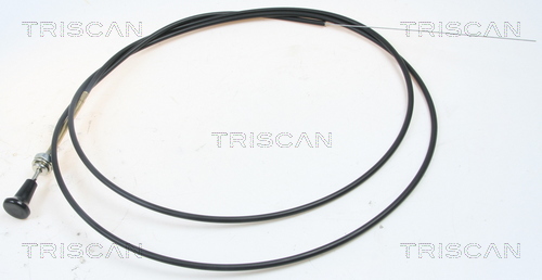 TRISCAN Oś przepustnicy, gaźnik 8140 91003