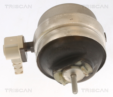 TRISCAN Moottorin tuki 8505 29111