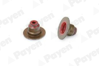 PAYEN Uszczelniacz, trzonek zaworu PA6135