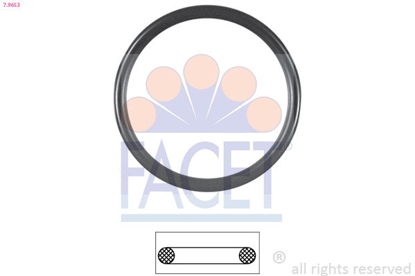 FACET tarpiklis, termostatas 7.9653