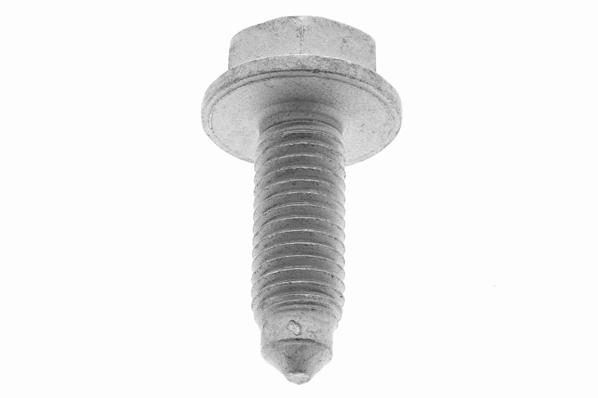 VAICO Polt V10-5543