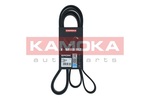 KAMOKA V formos rumbuoti diržai 7016238