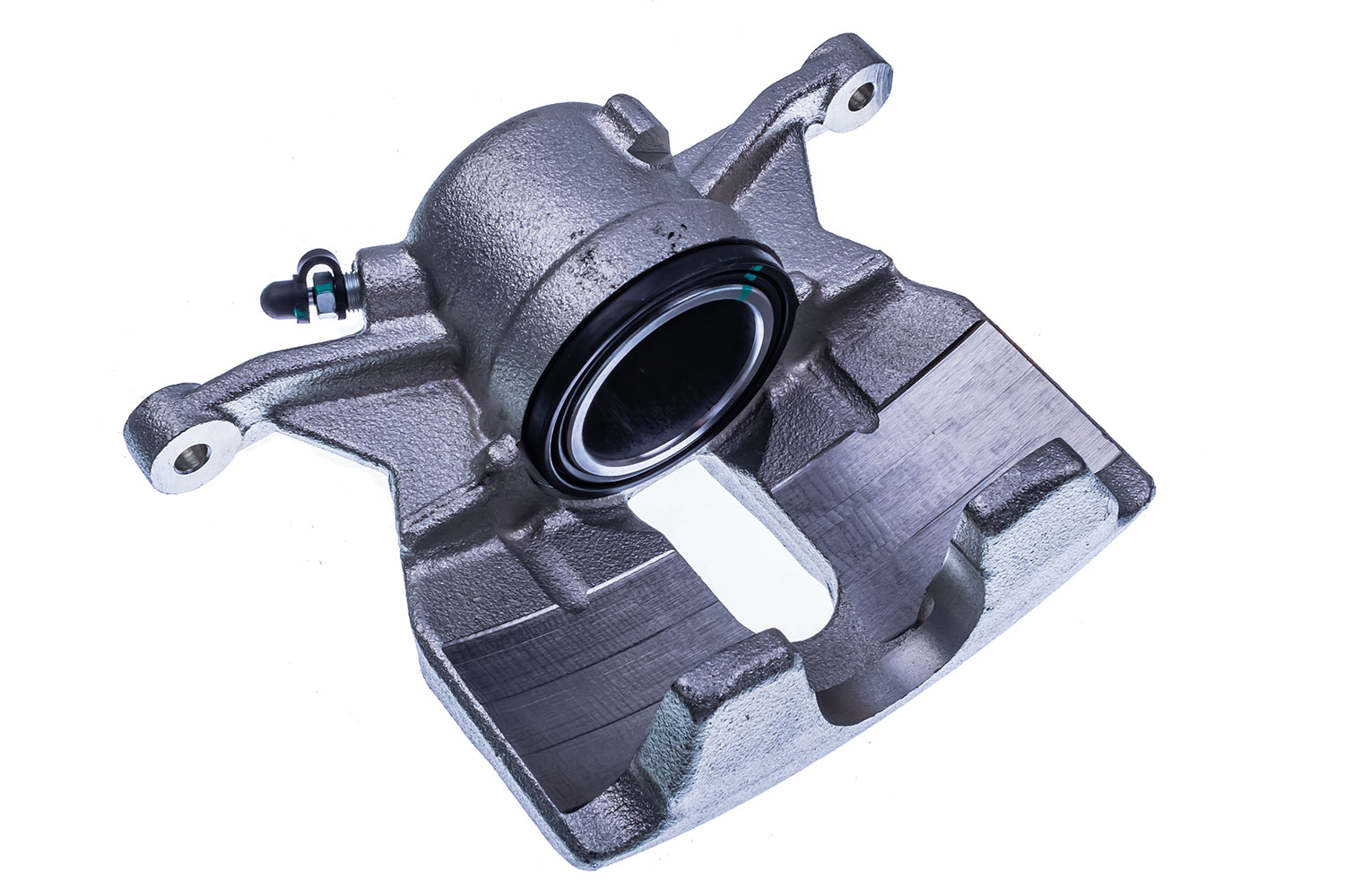DENCKERMANN Jarrusatula B190283L