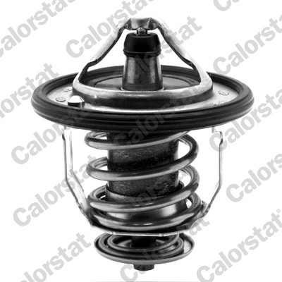CALORSTAT by Vernet Termostat, kylmedel TH5434.76J