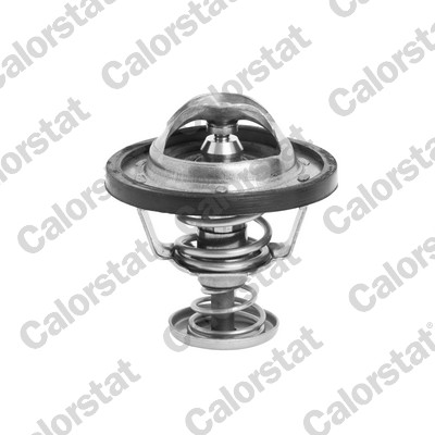 CALORSTAT by Vernet Termostat, kylmedel TH6295.88J