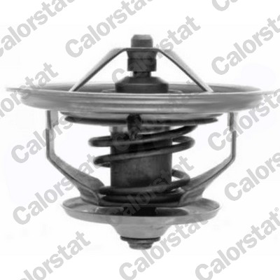 CALORSTAT by Vernet Termostat, kylmedel TH7103.79J