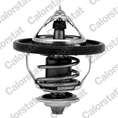 CALORSTAT by Vernet Termostaat, jahutusvedelik TH7354.88J