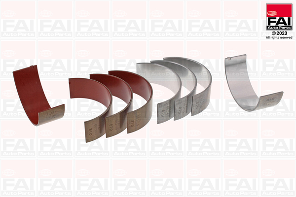 FAI AutoParts Vevstakslager BB2169-STD