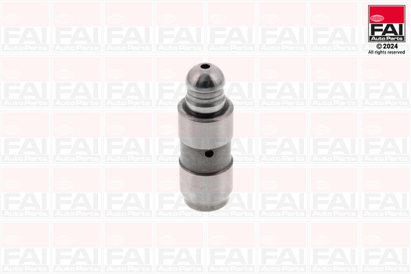 FAI AutoParts Hüdrotõukur BFS481S