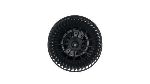 MAHLE Salongipuhur AB 245 000P