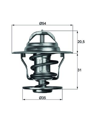 MAHLE termostatas, aušinimo skystis TX 13 75D