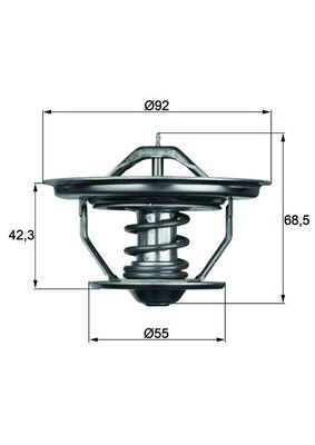 MAHLE Termostat, środek chłodzący TX 35 75
