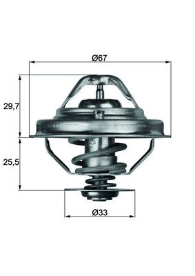 MAHLE Termostaat, jahutusvedelik TX 38 88D