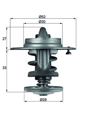 MAHLE termostatas, aušinimo skystis TX 80 83