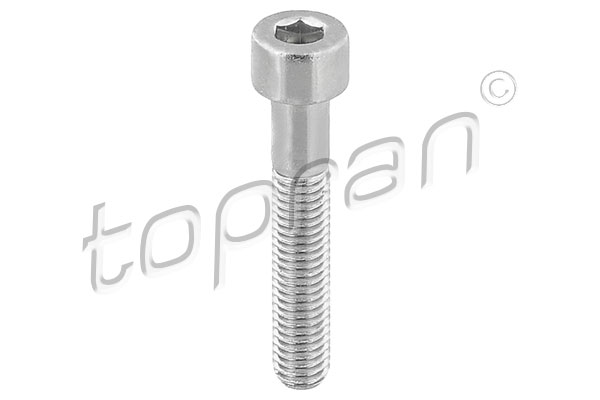 TOPRAN varžtas, stabdžių apkaba 110 708