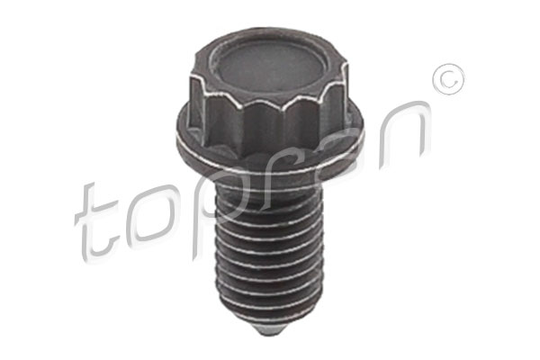 TOPRAN Polt 117 244