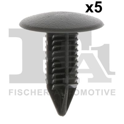 FA1 Tüübel, iluliist 79-10011.5