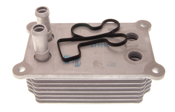 MAXGEAR Oljekylare, motor 14-0068