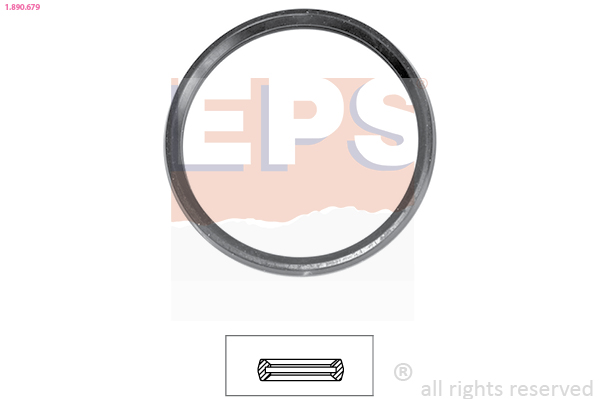 EPS Tiiviste, termostaatti 1.890.679