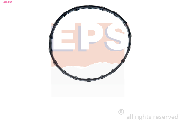 EPS Tiiviste, termostaatti 1.890.737