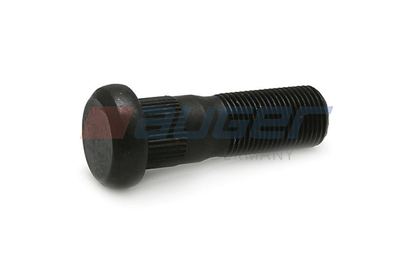 AUGER Rattapoldid 83830