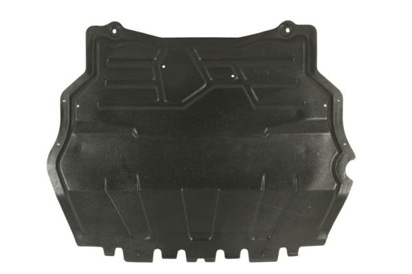 BLIC variklio dangtis 6601-05-0000041P